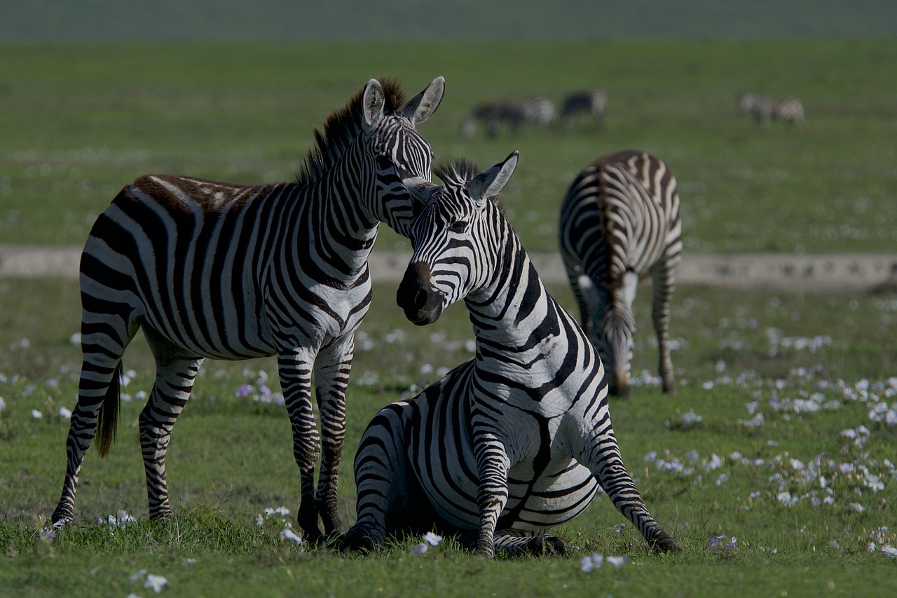 Threats to Biodiversity in the Arctic Tundra